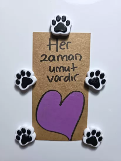 5’lı Mini Pati Buzdolabı Magneti